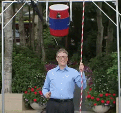 Bill Gates Balde de Gelo