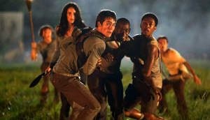 mazerunner3